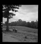 Negro tenant farmer reading paper on a hot Saturday afternoon. Note vegetable garden across footpath. Chatham County, North Carolina