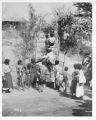 Negrito wedding ceremony: carrying the bride up the incline