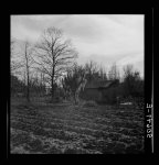 [Untitled photo, possibly related to: Negro's home near Beaufort, South Carolina]