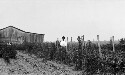 Girls Gardens. Home Makers Club on Inspection trip. Superintendent Jus. Washington, Arthur D. Wright, Jackson Davis, Lizzie A. Jenkins and Annie E. Butler showing improvement. Tomatoes staked