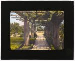 ["Il Paradiso," Mrs. Dudley Peter Allen house, 1188 Hillcrest Avenue, Oak Knoll, Pasadena, California. Pergola]