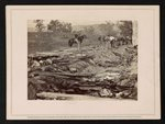 View of ditch, which had been used as a rifle-pit at the Battle of Antietam