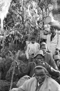 Members of Eliot Elisofon's trekking expedition. Ruwenzori Mountains, Congo (Democratic Republic)