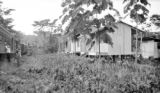 Costa Rica, railway houses in Limón Province across from train