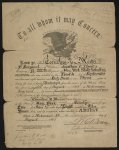 [Certificate to discharge Cornelius V. Moore from Company B, 100th New York Volunteers]