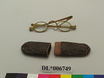 Spectacles and Case