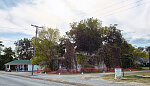 Long-closed and now vine-covered site of Bryant's Grocery in the crossroads community of Money, Mississippi