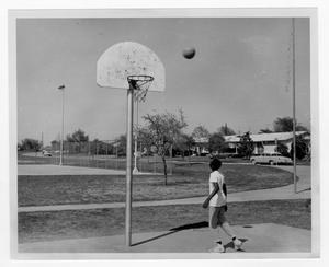 Basketball Goal at Hamilton Park