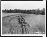 [James Archie plowing field, with pair of mules(?)]