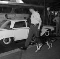 Police officer walking a dog outside the Greyhound station in Birmingham, Alabama, after the arrival of the Freedom Riders.