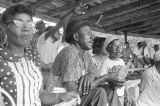 Audience in the bleachers at a baseball game, probably in Montgomery, Alabama.