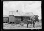 House of Negro tenant family. This is a larger house than usual box type. Has several rooms, unscreened, but well kept. Part of the family is sitting on the porch resting--Saturday afternoon. The oldest son on the mule is on his way to visit a neighbor. Pittsboro, North Carolina