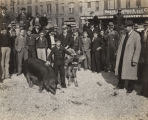 Grand prize winner at the second annual "Sears' Cow-Hog-Hen Project," standing with his hog and calf in front of the Sears, Roebuck and Co. store in Montgomery, Alabama.