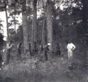 Men Logging Trees in Georgetown County