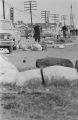 Scene at the foot of the Edmund Pettus Bridge in Selma, Alabama, after civil rights marchers were beaten and gassed by Alabama state troopers and Dallas County deputies on Bloody Sunday.