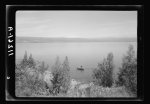 Picturesque views of Mt. Hermon &amp; the Lake. Sea of Galilee &amp; Mt. Hermon, with chrysanthemums &amp; boats near shore