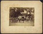 Gwine to de field, Hopkinson's Plantation, Edisto Island, S.C.