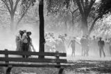 Demonstrators being sprayed with fire hoses at Kelly Ingram Park during the Children's Crusade in Birmingham, Alabama.