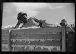 Negro tenant on top of wagonload of cotton, waiting to go to gin. Delta and Pine Land Company, Scott, Mississippi Delta, Mississippi