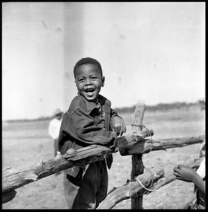 Boy Standing on a Fence