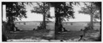 [Cedar Mountain, Va. Battlefield viewed from the west]