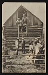 [Men preparing to lynch an African American man by hanging from a hayloft outside a barn]