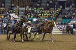 Bull-dogging at the Martin Luther King, Jr., African-American Heritage Rodeo, one of the National Western Stock Show events in Denver, Colorado