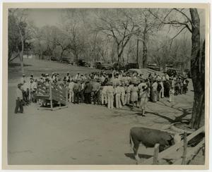 People at Food and Livestock Show