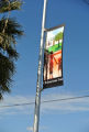 Photograph at Berkley Square Historic District banner unveiling event, February 9, 2013