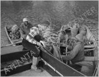 Oyster fishermen