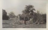 Photograph; Redcliffe Live Oaks; Jim At Work.