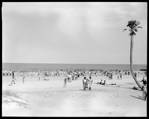 Segregated African American area, Hunting Island State Park, South Carolina