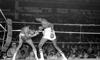 Thomas Hearns; Boxers; Bouts. Vs. Pedro Rojas.