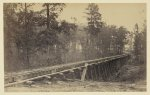 [Railroad bridge with timber trestles]