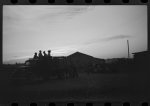 [Untitled photo, possibly related to: Negroes brought in by truck from nearby towns as day labor for cotton picking. Marcella Plantation, Mileston, Mississippi Delta, Mississippi]