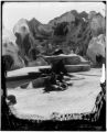 Seals in Hagenbeck's animal show