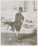 Thumbnail for Bert Williams in his rooster costume from the theatrical revue the "Ziegfeld Follies"