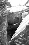 African American boy between bales of cotton: Image 1