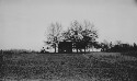 Group of Negro houses. Mostly tenants