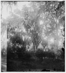 [Savannah, Georgia. View of cemetery]