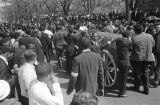 Pallbearers, including T. Y. Rogers, James Bevel, James Orange, and Jesse Jackson, waiting to roll Martin Luther King, Jr.'s casket down the street.