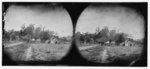 [Mechanicsville, Va. View of houses]