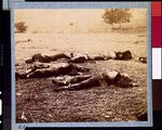 [Federal dead on the field of battle of first day, Gettysburg, Pennsylvania]