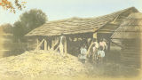 African Americans at a sugar cane mill in Wilcox County, Alabama.