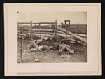 View on battlefield of Antietam