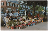 Flower Ladies of Chapel Hill