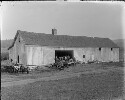 Covesville Orchard Albemarle County