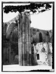 [Sebastiyeh (Samaria). Crusader Church of St. John]