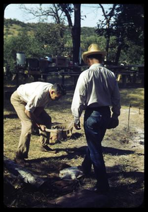 Two Men and a Turtle