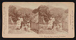 A negro mountain home - Jamaica, West Indies